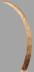 Altar Tusk