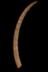 Altar Tusk