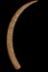 Altar Tusk