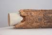 Altar Tusk