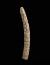 Altar Tusk