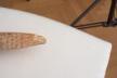 Altar Tusk