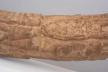Altar Tusk