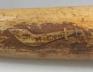 Altar Tusk