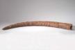 Altar Tusk