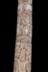 Altar Tusk