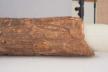 Altar Tusk