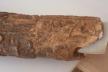 Altar Tusk