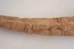 Altar Tusk