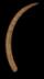 Altar Tusk