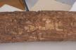 Altar Tusk