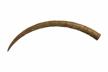 Altar Tusk