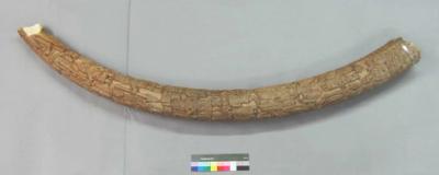 Altar Tusk
