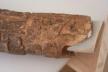 Altar Tusk