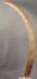 Altar Tusk