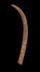 Altar Tusk