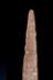 Altar Tusk