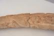 Altar Tusk