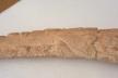 Altar Tusk