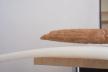 Altar Tusk