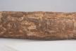 Altar Tusk