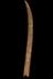 Altar Tusk