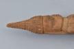 Ancestral Staff 