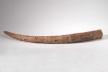 Altar Tusk