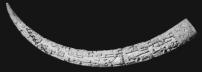 Altar Tusk