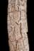 Altar Tusk