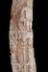 Altar Tusk