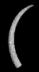Altar Tusk