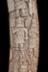 Altar Tusk