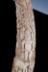 Altar Tusk