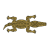 alligator