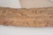 Altar Tusk