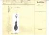 Ceremonial Sword