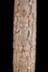 Altar Tusk