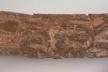 Altar Tusk