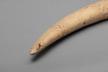 Altar Tusk