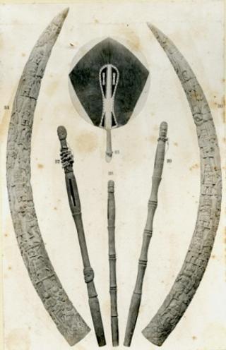 An archival document representing a Photograph Album of 2 page(s)