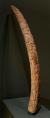 Altar Tusk