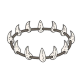 leopard teeth