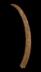 Altar Tusk