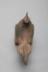 Rooster Figure 