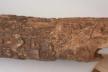 Altar Tusk