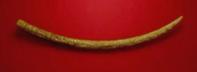 Altar Tusk