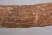 Altar Tusk